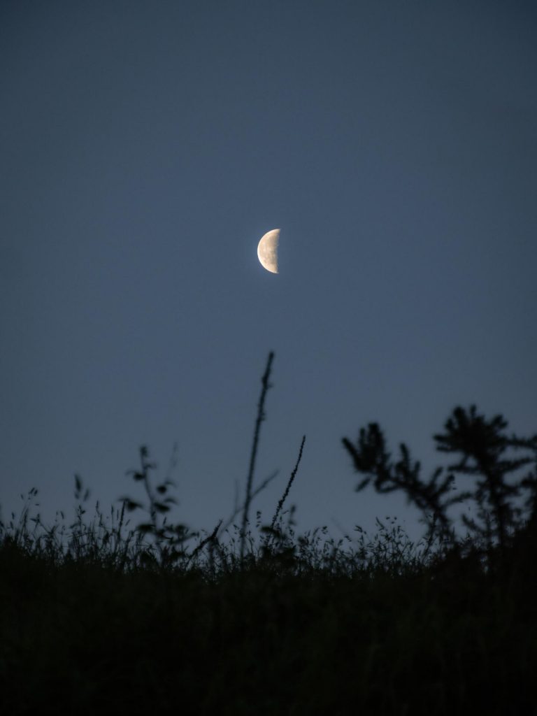 Reisekamera Test Bild Olympus E-M5 Mark III – Abnehmender Mond vor Wiesensilhoutte